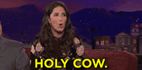 Holy Cow Darcy Carden GIF by Team Coco
