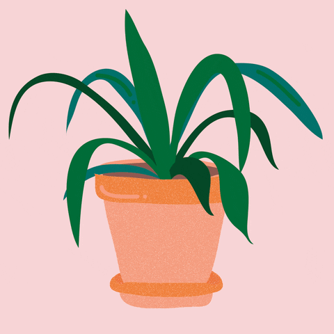 Water The Plants Gifs Get The Best Gif On Giphy