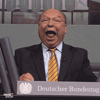 deutscher bundestag lol GIF by Heute-Show