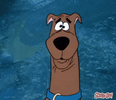 Cartoon No GIF by Scooby-Doo