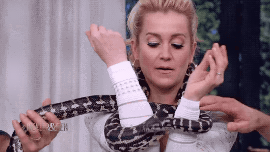 Surprise Smile GIF