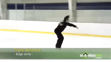 Figure Skating Salchow GIF