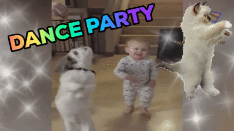 Dance Party Dancing Dog GIF by Lauren - Find & Share on GIPHY