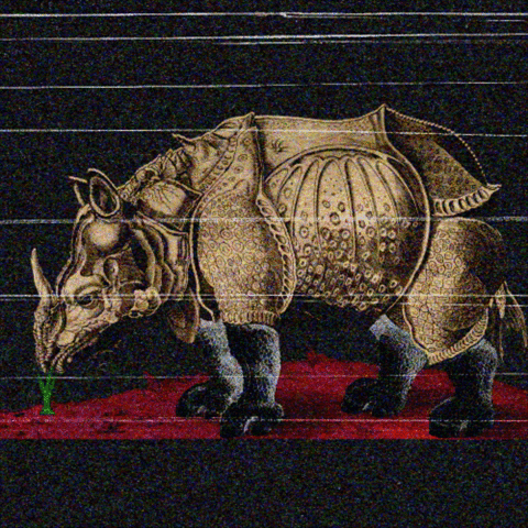 rhino psychdre GIF