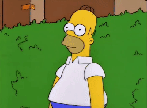Simpsons homer