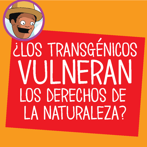 Ecuador Ogm GIF