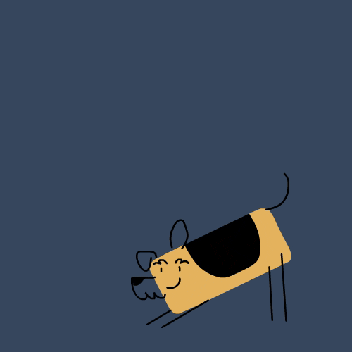 welsh terrier dog GIF by CsaK