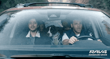 Lets Go GIF by Toyota USA