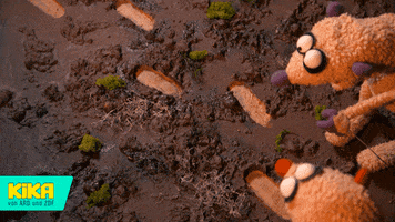 200.gif?cid=fc005b0835d156e352e0da53fadf495ec68124562a88eb11&rid=200.gif&ct=g
