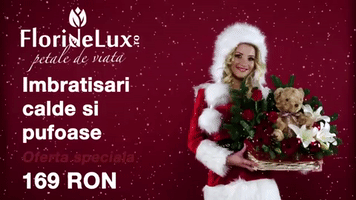 Aranjamente De Craciun 2017 GIF