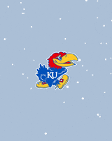 Kansas Jayhawks Snow GIF by University of Kansas