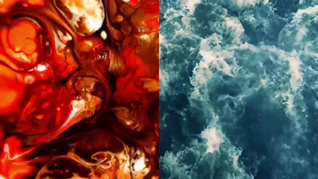 cat power cassius official GIF by CASSIUS