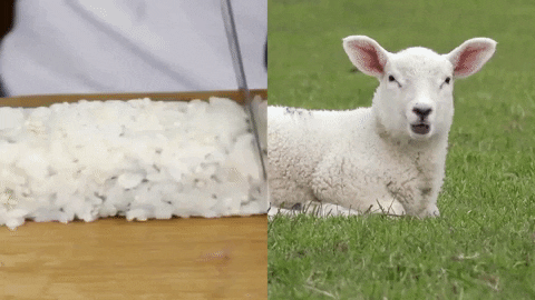 These Combined GIFs Will Blow Your Mind by Reaction GIFs | GIPHY