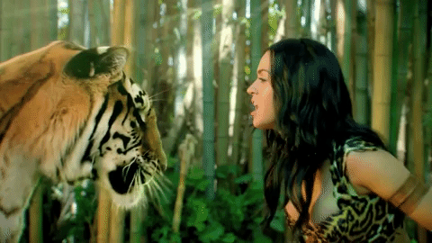 Music Video Roar GIF by Katy Perry - Find & Share on GIPHY