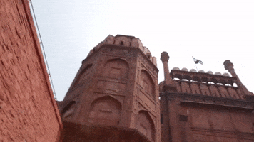 red fort india GIF by bypriyashah