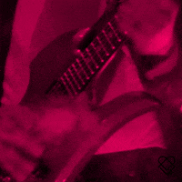 200.gif?cid=fc005b082b14e39288440ed53013dc33bbb04b0c445557a9&rid=200.gif&ct=g