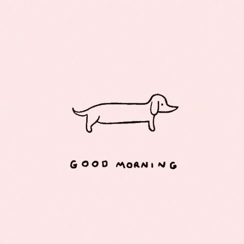 Good Morning GIF by reactionseditor