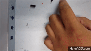 ritsasv adaptador de audio plug audio cable auricular accesorio smarthphone GIF