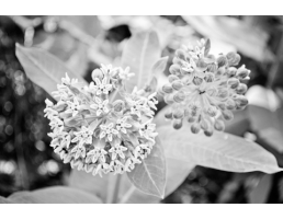 executivefurnrent  GIF