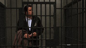 shirakazulanoy  GIF