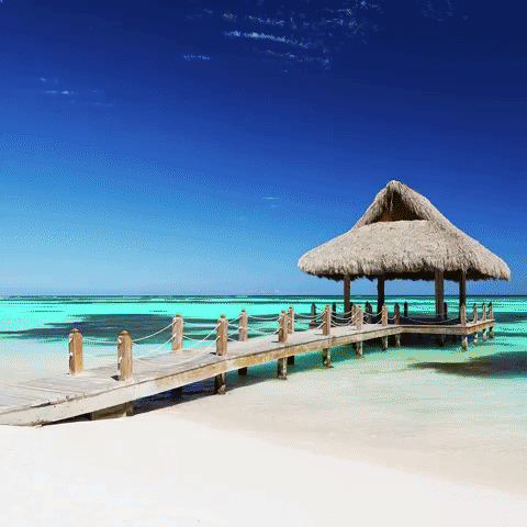 hey-you holiday relax vacation heaven GIF