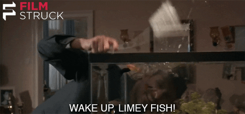 un-poisson-nomm&eacute;-wanda-culte-kevin-kline-film-fnac