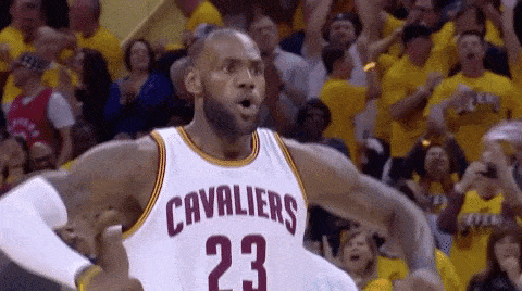 Excited Lebron James GIF by NBA