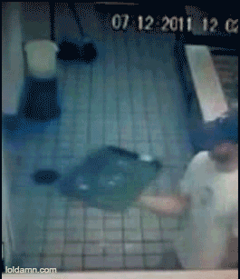 sarcamefluent  GIF