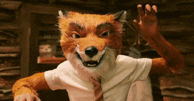Wes Anderson Stop Animation GIF by 20th Century Fox Home Entertainment