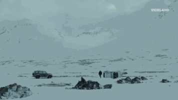 viceland GIF by Trapped