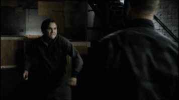 sarahwaynecalliesbrasil colony usa GIF