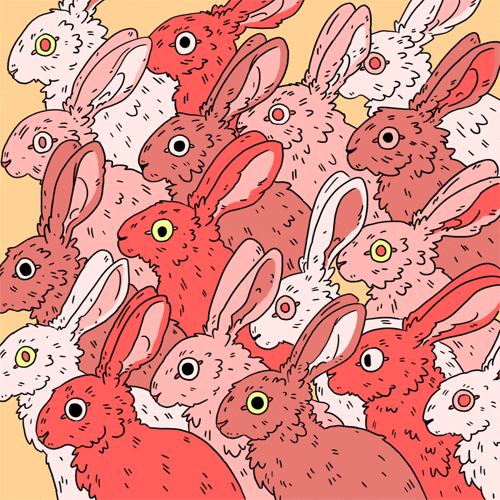 lindseylea illustration rabbits hare hares GIF