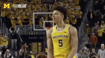March Madness GIF by Michigan Athletics