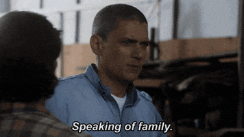 Michael Scofield Fox GIF by Prison Break