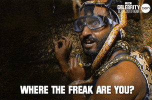 Where Are U Party GIF by I'm A Celebrity... Get Me Out Of Here! Australia