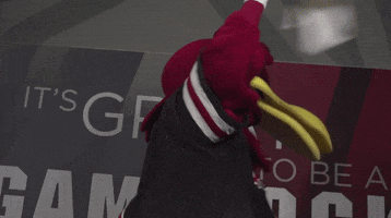 south carolina basketball GIF by gamecocksonline