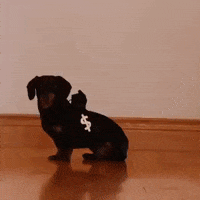 cute cops and robbers GIF