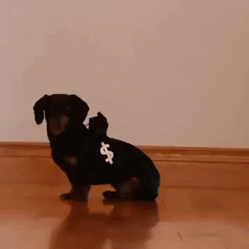 Cops And Robbers Dogs GIF by reactionseditor - Find & Share on GIPHY