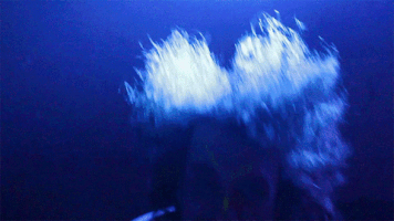 danielvanhauten party alex double trouble GIF