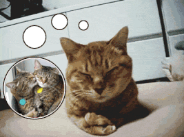 manaspruthi  GIF