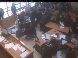 vivianacolomaarce  GIF