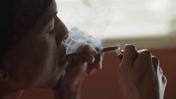 viceland GIF by WEEDIQUETTE