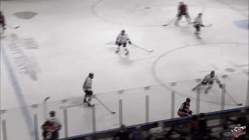 player of the week hockey GIF by Greenville Swamp Rabbits