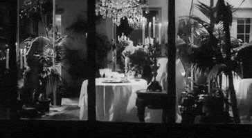 katsliman veronika voss GIF