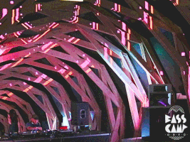 Festival Stage GIF by spade