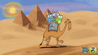 Riding-camels GIFs - Get the best GIF on GIPHY