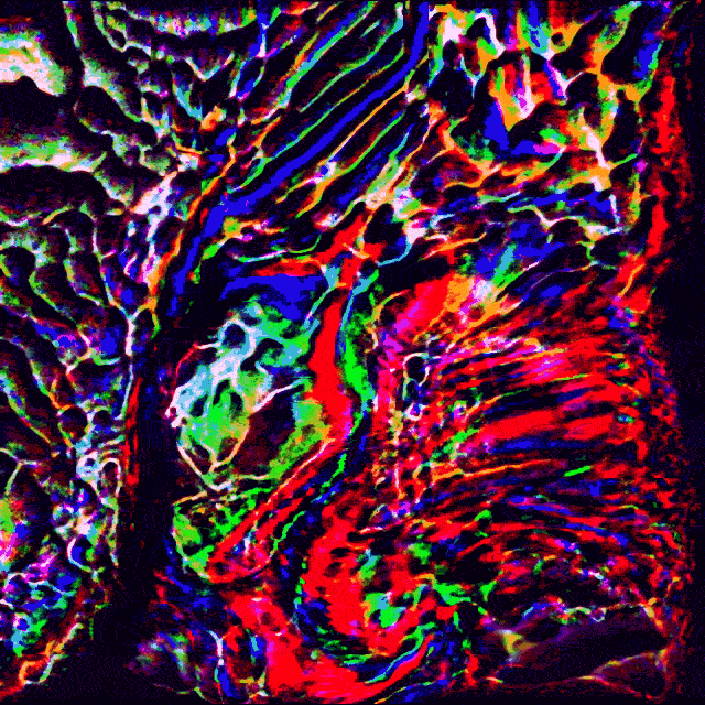 boopydummy  GIF