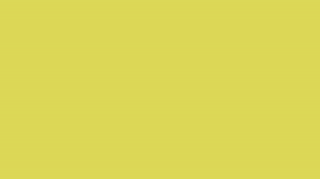 Donut_Parade  GIF