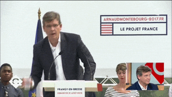 arnaud montebourg meeting GIF by franceinfo