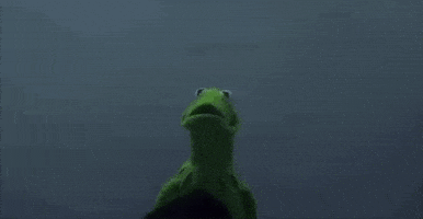 Kermit The Frog Meme GIF by Identity